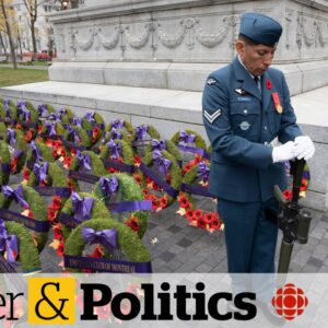 Military advocates push government to award Canada's first modern Victoria Cross