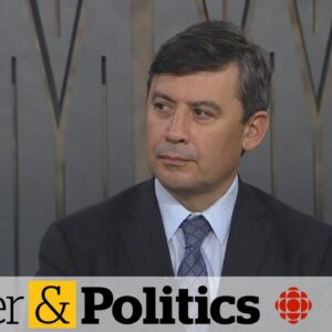 PM needs to 'come clean' about Chinese election interference: Michael Chong
