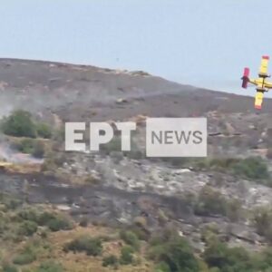 WARNING: Video shows plane crashing while fighting wildfires in Greece