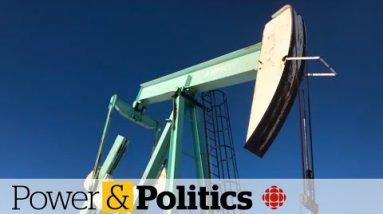 What is Ottawa willing to do to combat high gasoline prices?