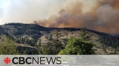More than 300 properties in B.C. Interior ordered to evacuate as wildfire spreads