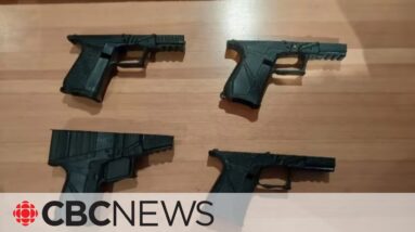 Calgary police seize firearms, manufactured 3D-printed gun in raid