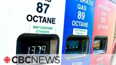 Federal government's clean fuel regulations take effect Canada Day