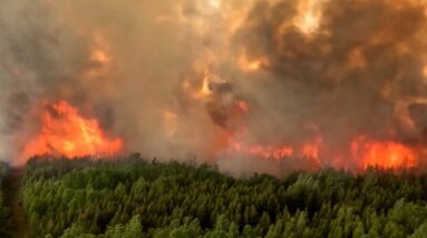 DONNIE CREEK FIRE | British Columbia's largest-ever wildfire remains 'volatile'