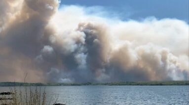 How the feds are trying to stem health risks from wildfire smoke | CANADA WILDFIRES