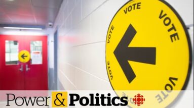 Who came out on top in last night's federal byelections?