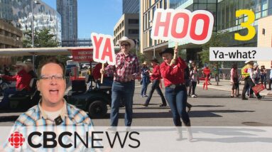 5 things only the diehards know about Calgary's first Stampede