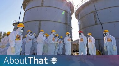 Fukushima's radioactive wastewater: Should we worry about its release? | About That