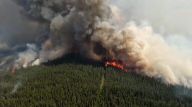 British Columbia wildfires: More than 1 million hectares have burned