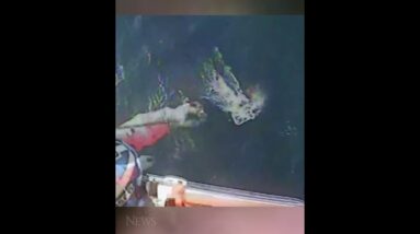 Dramatic rescue of stranded boaters off the coast of British Columbia