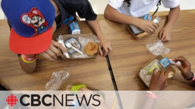 Food insecure kids more likely to access care for mental health, substance use, research finds