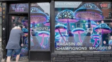 Que. magic mushrooms shop raided by police the day it opened