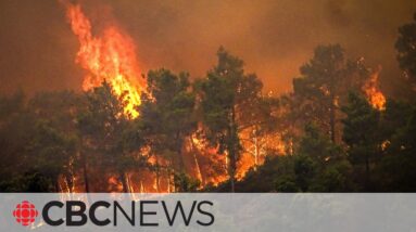 Rhodes wildfire in Greece prompts largest evacuation in its history