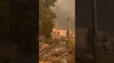 B.C. driver shows trail of destruction left by intense wildfires at Shuswap Lake  #shorts
