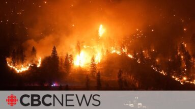 B.C. officials provide update on Kelowna wildfire
