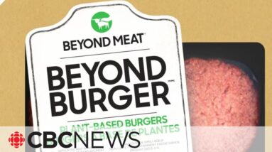 Beyond Meat revenue fell 30% in 2nd quarter