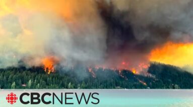 'Critical' wildfire near Gun Lake, B.C., triggers evacuations