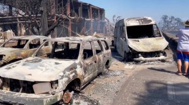 Hawaii wildfires | Video shows scorched cars along Lahaina streets