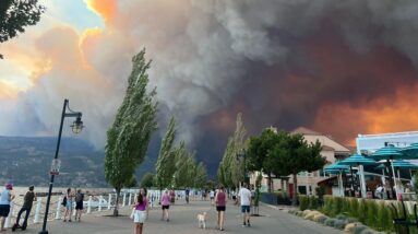 Wildfires threaten Kelowna | Evacuations as spot fires ignite in the city