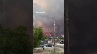 McDougall Creek wildfire threatening Kelowna, B.C. as it doubles in size #shorts