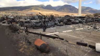 MAUI WILDFIRES | Death toll rises to 106: officials confirm