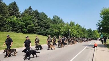 Memorial service march held for fallen K9 in Kitchener, Ontario