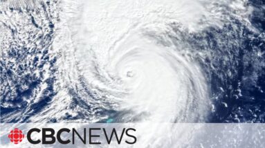 NOAA predicts 'above normal' Atlantic hurricane season in 2023