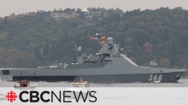 Russian warship fires warning shots at Turkish cargo ship in Black Sea