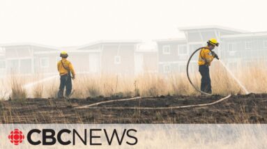 Update on Kelowna, B.C. wildfire situation, Aug. 21
