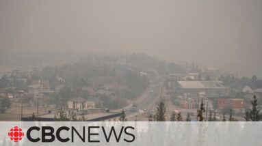 Wildfires burn across N.W.T. as government declares state of emergency