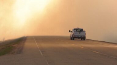 Wildfires have burned 1.8 million hectors in Alberta in 2023