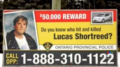 Lucas Shortreed case | OPP borrowed accused’s decoy vehicle to re-enact fatal hit and run
