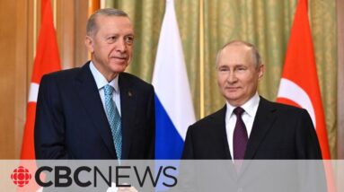 Putin meets Turkish president, with revival of paused grain deal on the agenda