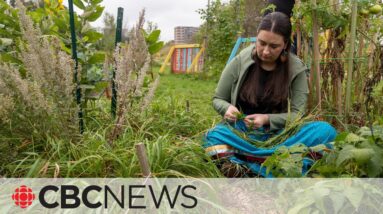 How this garden is helping Indigenous youth rediscover their roots