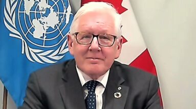 'Ukraine is fighting for its life': Canada's UN ambassador | CTV's Question Period