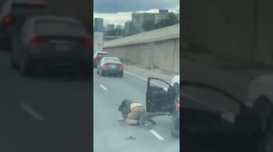 OPP share images of fight on Highway 401 #shorts