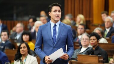 MPs respond to PM Trudeau's formal apology in the House during question period