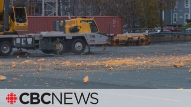 Annual pumpkin drop is a smash in Dartmouth, N.S.