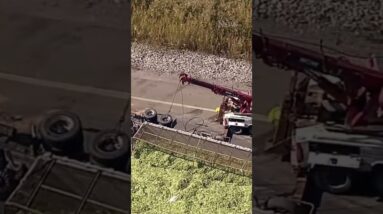 Celery spills onto Ontario highway after truck rolls over #shorts
