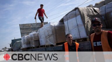 First trucks carrying humanitarian supplies enter Gaza