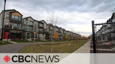 How Edmonton’s zoning renewal will impact neighbourhoods, new and old