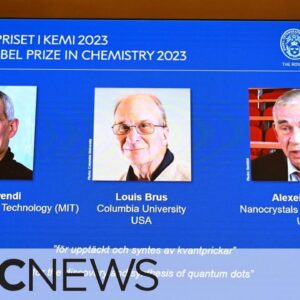 Nobel chemistry prize awarded for discovery of quantum dots