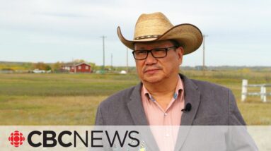 This First Nation in Alberta is fighting climate change with rows and rows of trees