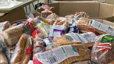 One in ten people in Toronto rely on food banks amid affordability crisis
