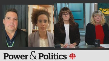 Political Pulse panel: Fall economic statement, grocery prices, new government jet