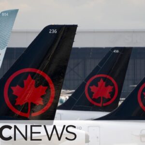 Air Canada apologizes for treatment of passengers with disabilities