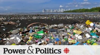 Judge rules against a key part of Ottawa's single-use plastics ban