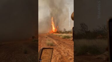 Unbelievable footage: Rare fire tornado spotted in Australia #shorts #weather