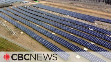 Métis Nation of Alberta solar panel farm could power 1,200 homes