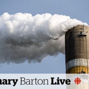 'We need carbon pricing to hit our climate goals,' environment minister says